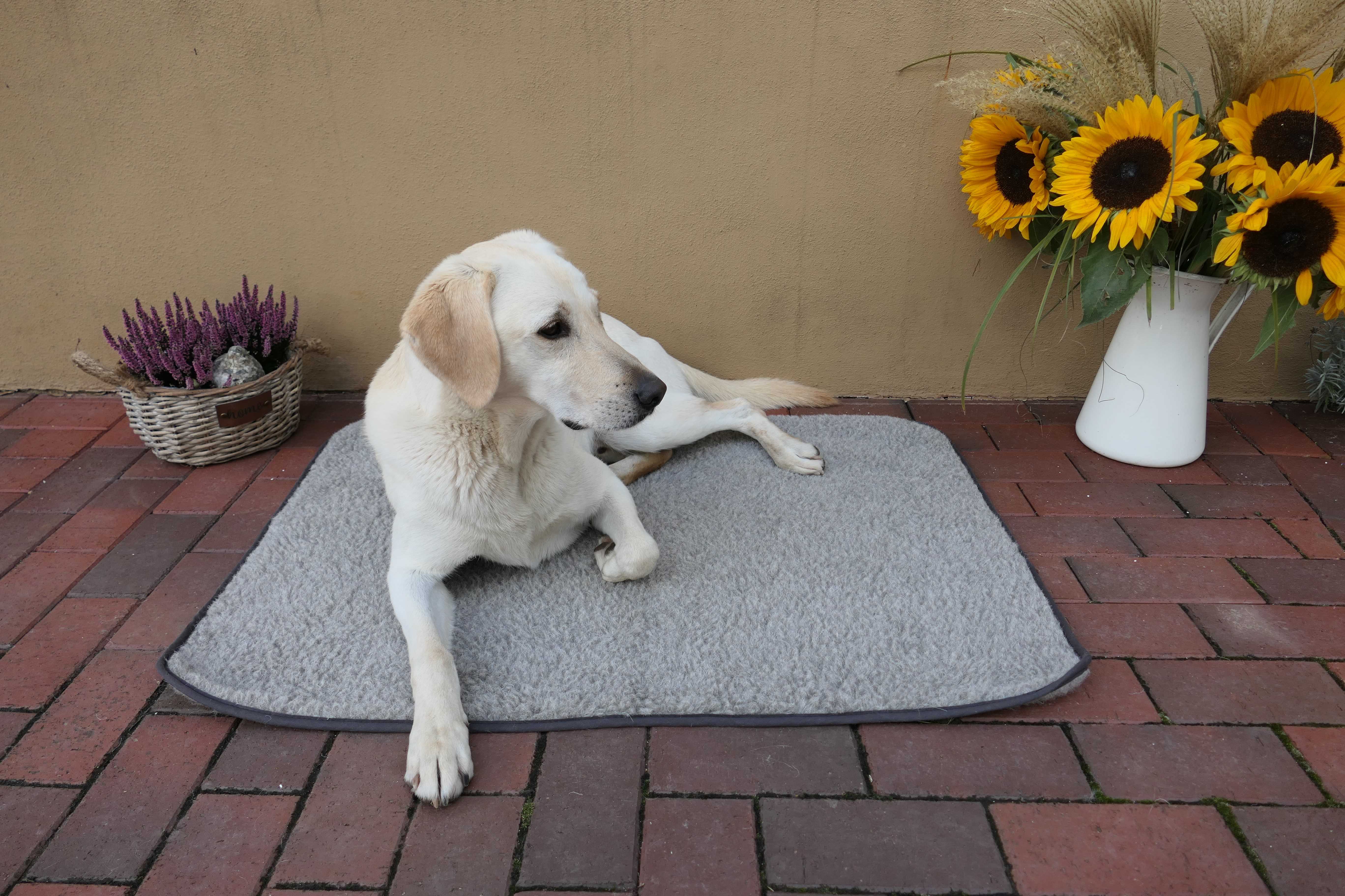 Hundedecke einfach 70 x 100 (grau)